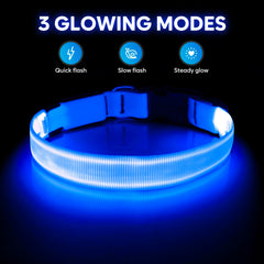 Illumifun LED dog collar blue small side view shows adjustable fit in low light