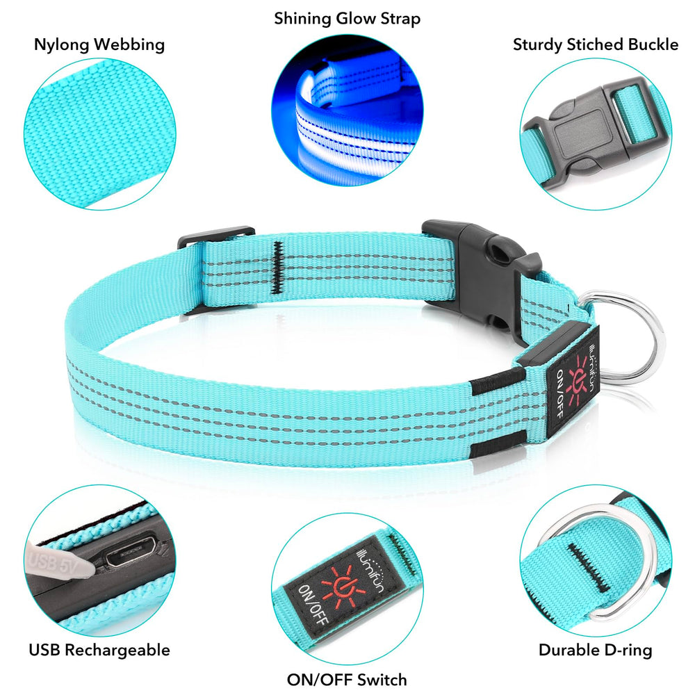 Illumifun LED dog collar with USB recharge cable included for uninterrupted outdoor time