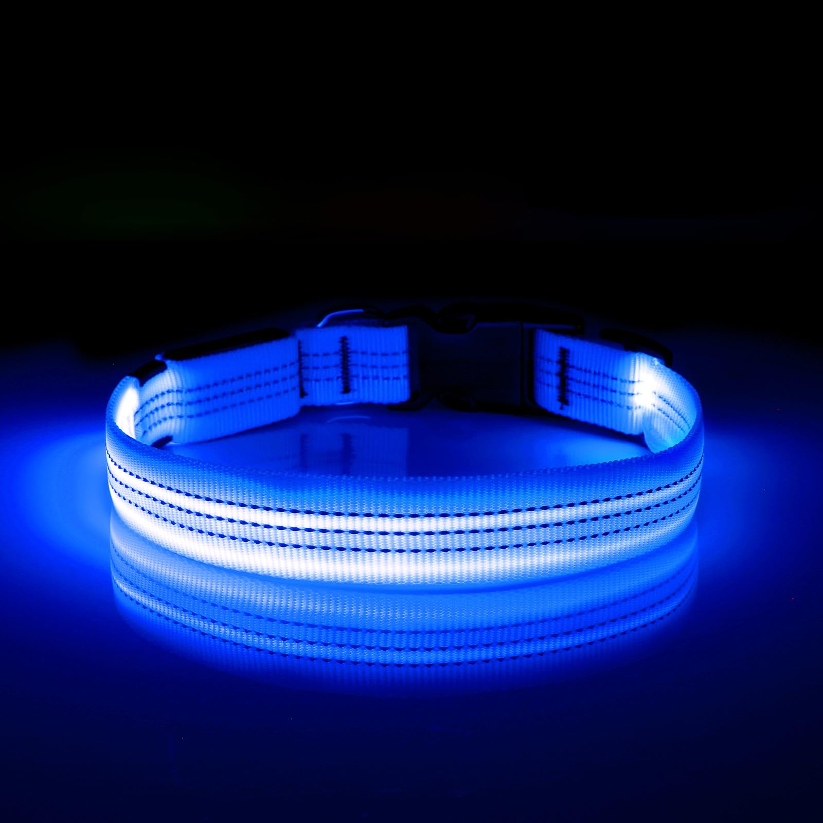 Illumifun LED dog collar water resistant design in rainy conditions