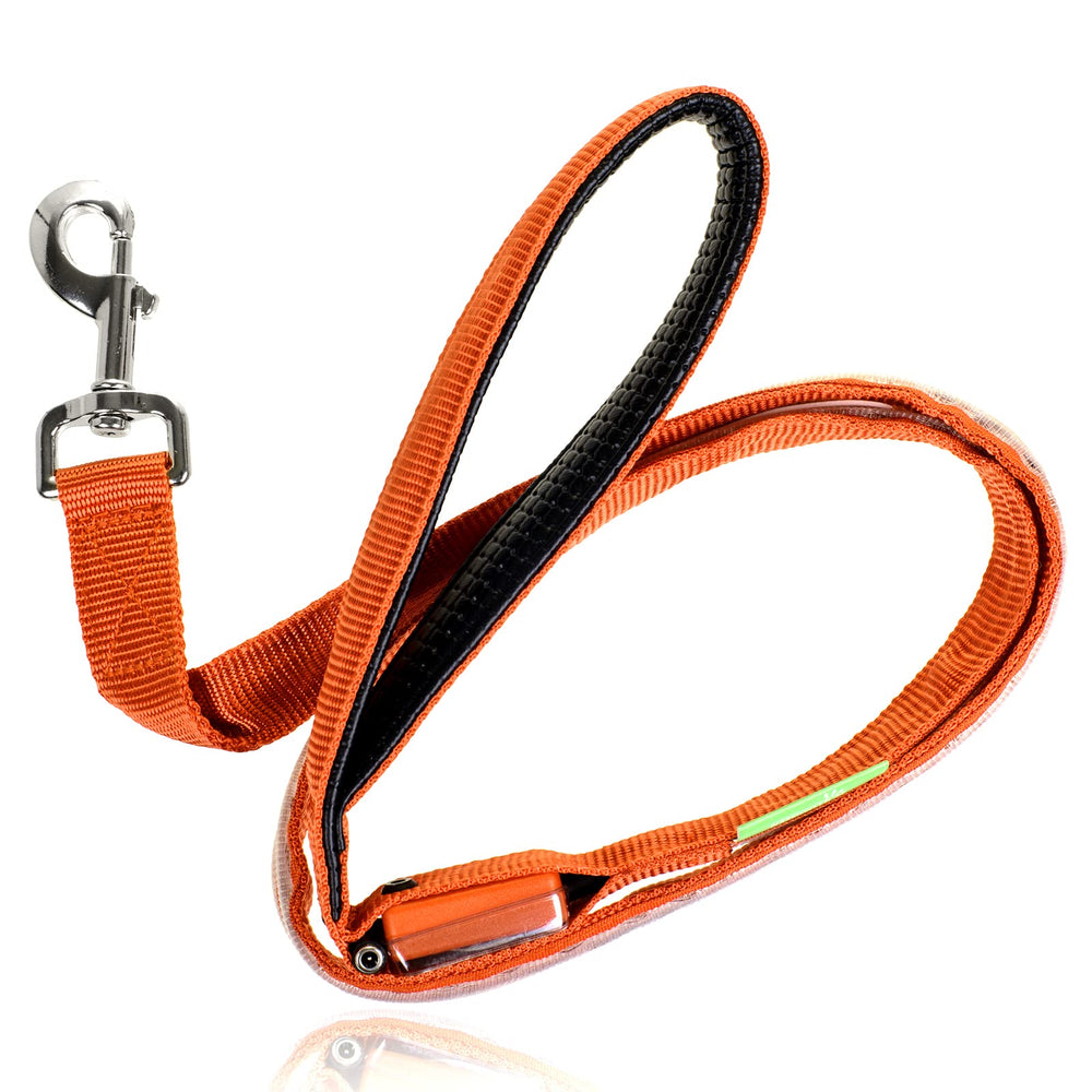 Illumiseen LED leash night-walk usage captures low-profile glow for safer parks.