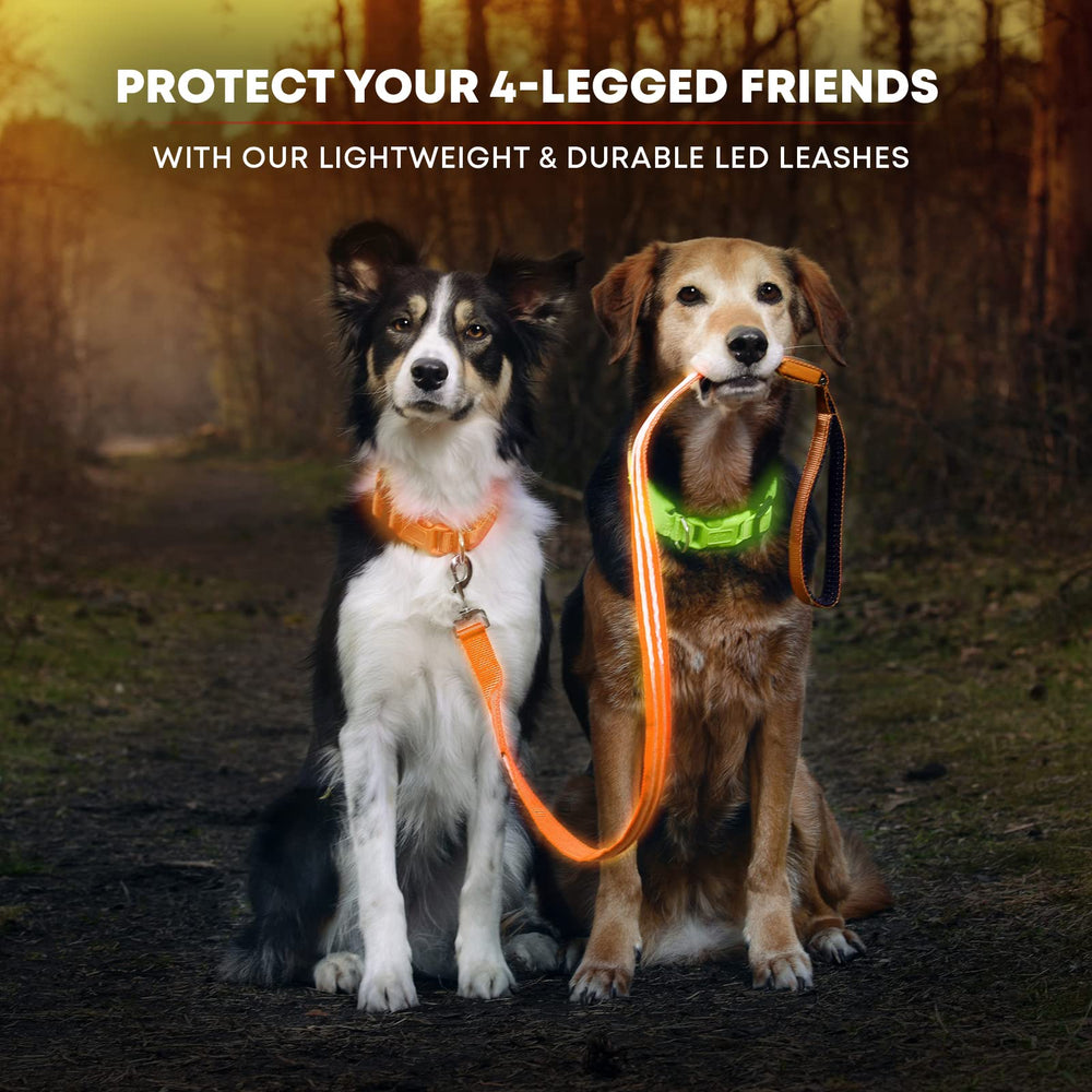 Illumiseen LED leash padded-handle showcases comfortable grip during evening strolls.