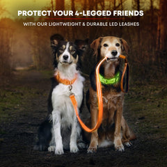 Illumiseen LED leash padded-handle showcases comfortable grip during evening strolls.