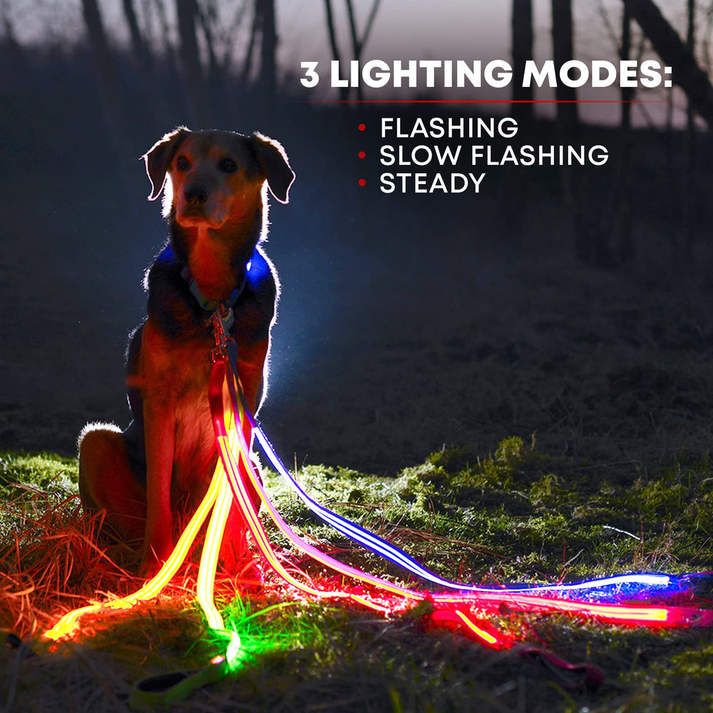 Illumiseen LED leash rotating-swivel-clasp promotes tangle-free daily walks.