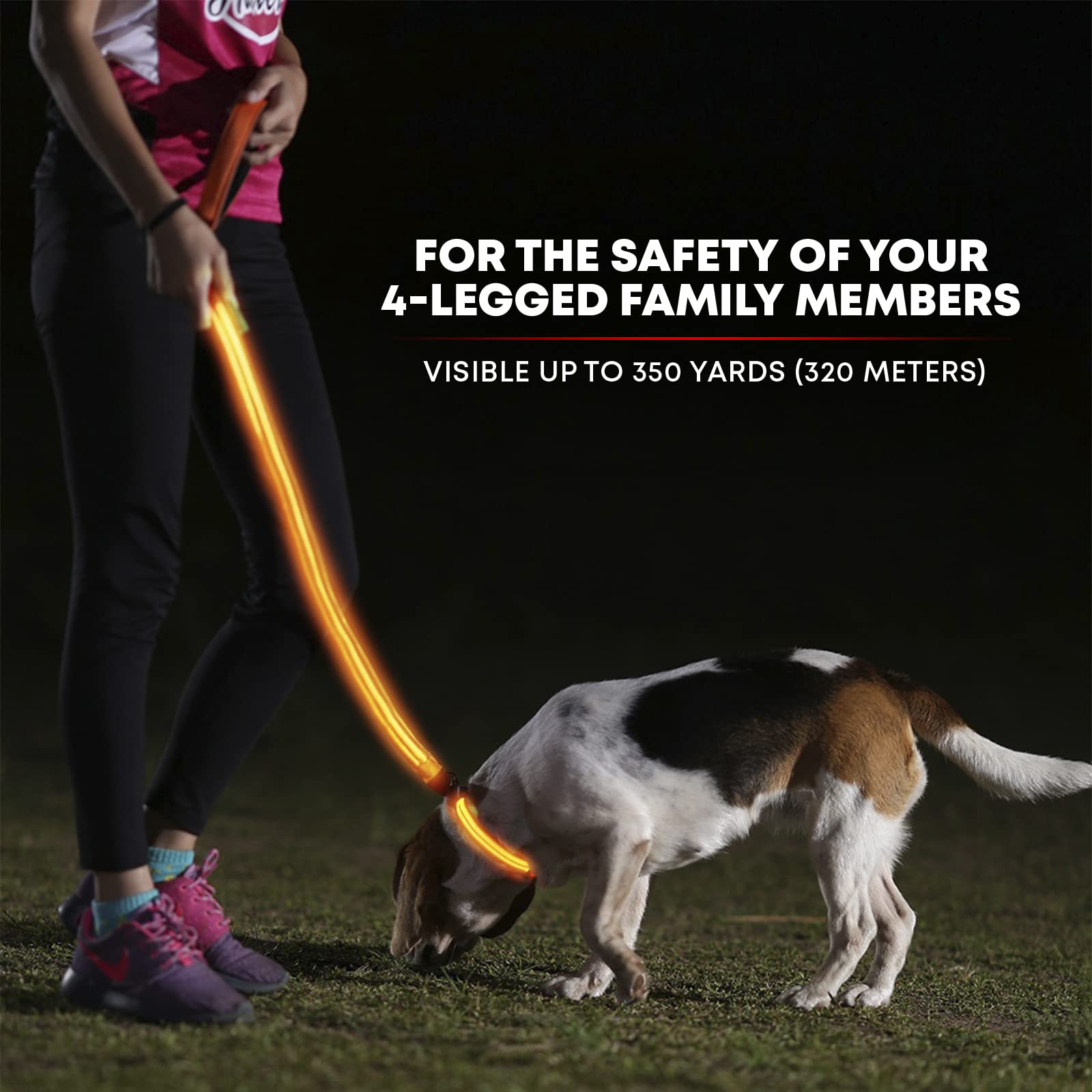 Illumiseen LED leash side view highlights reflective glow for oncoming traffic awareness.