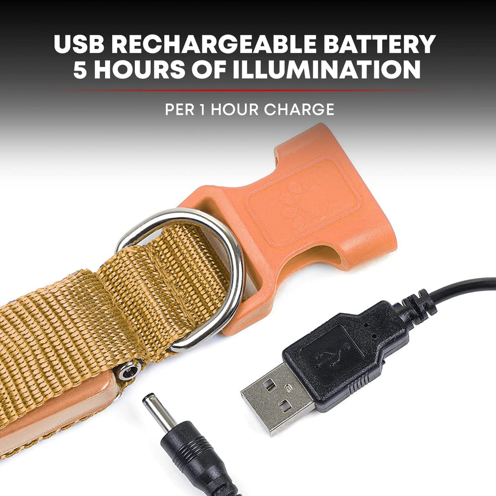 Illumiseen LED leash USB-recharge image emphasizes battery-free ongoing power.