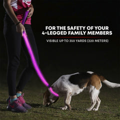 Illumiseen LED Light Up Dog Leash offers 3 modes for flexible lighting during dusk strolls