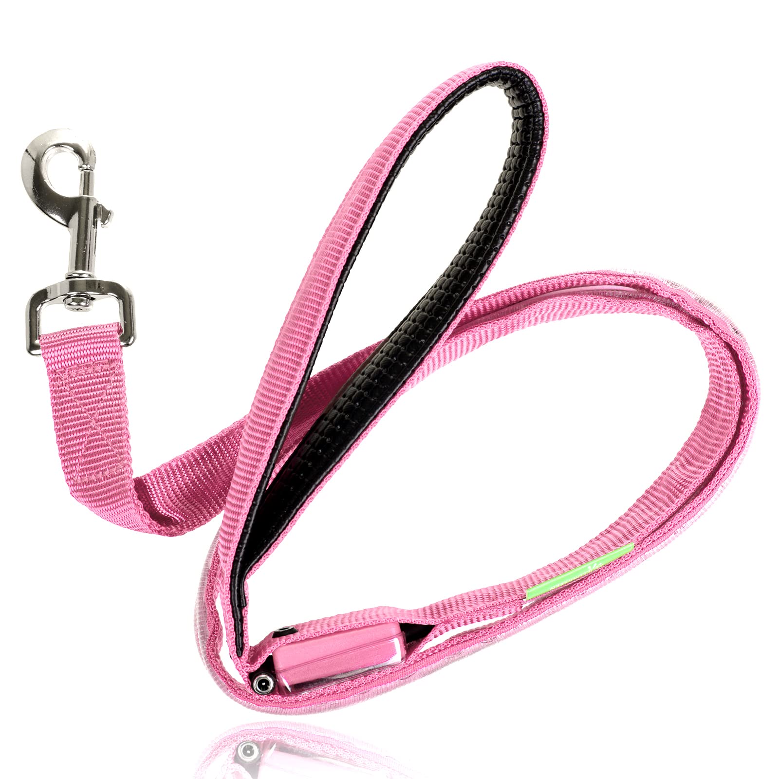 Illumiseen LED Light Up Dog Leash in night conditions helps owners spot dogs easily