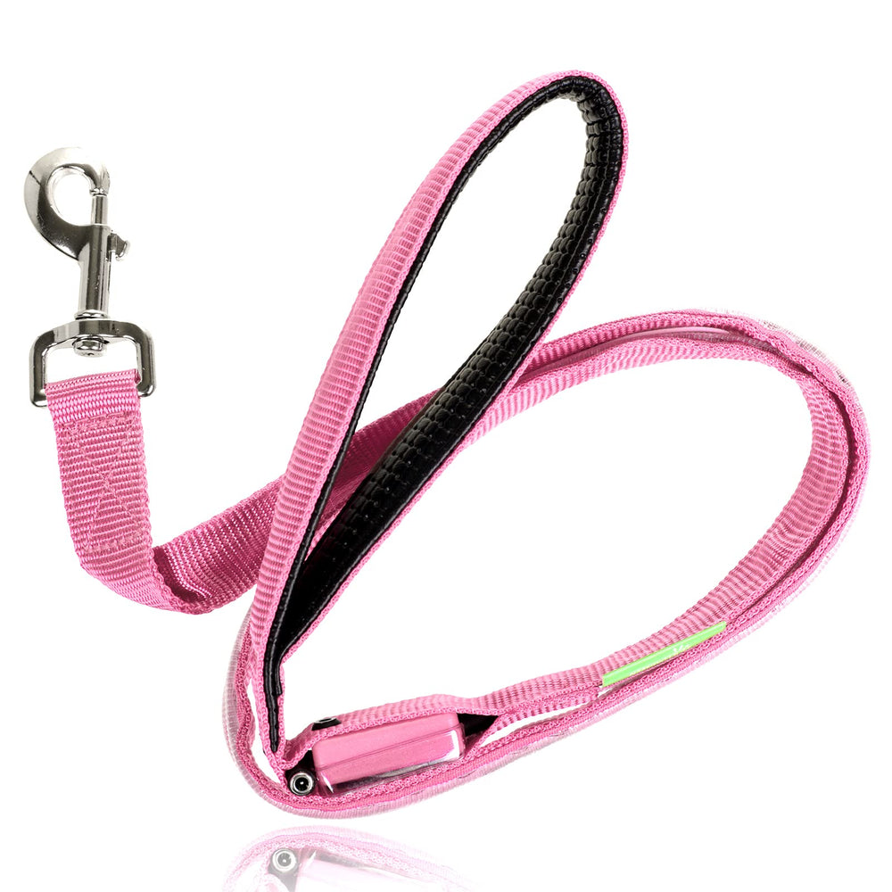 Illumiseen LED Light Up Dog Leash in night conditions helps owners spot dogs easily