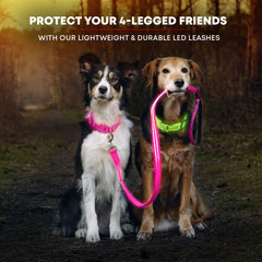 Illumiseen padded-handle leash provides comfortable grip on long walks and runs