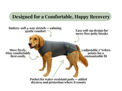 iLVYA Dog Recovery Suit breathable-fabric emphasizes airy knit for all-day comfort and movement