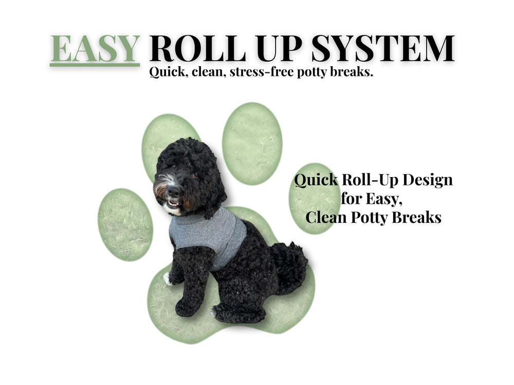 iLVYA Dog Recovery Suit cone-free-design illustrates stress-free feasibility without an e-collar during recovery