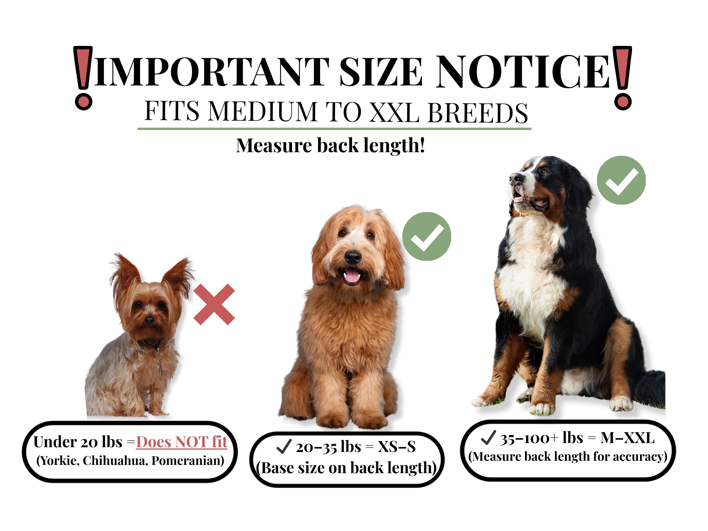 iLVYA Dog Recovery Suit easy-potty-breaks demonstrates simplified, hassle-free diaper-time without removing the garment