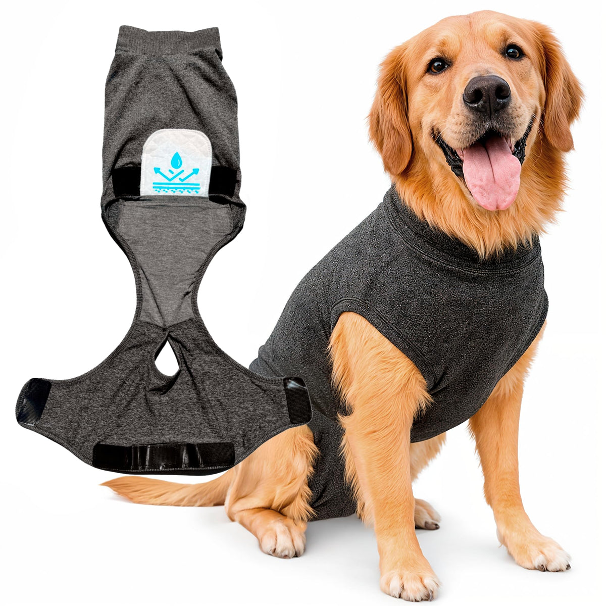 iLVYA Dog Recovery Suit generous-fit shows roomy coverage for broader-chested dogs during post-surgery healing