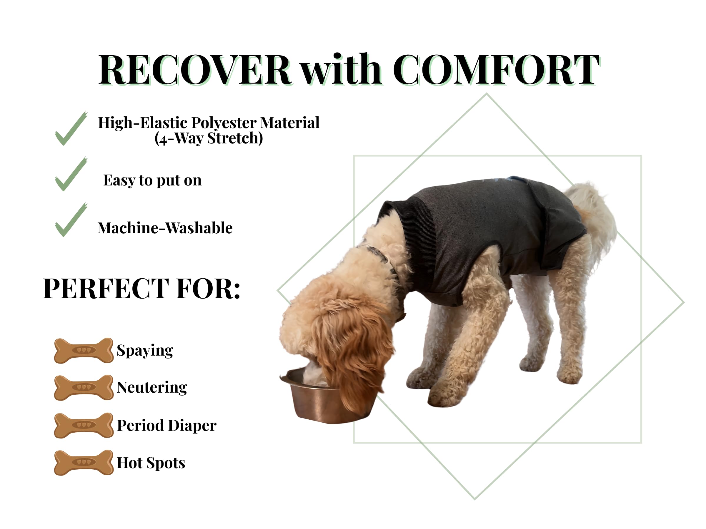 iLVYA Dog Recovery Suit incision-protection image demonstrates coverage for healing incisions and stitches