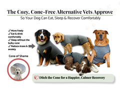 iLVYA Dog Recovery Suit size-guide highlights measurement tips for accurate fit and comfort