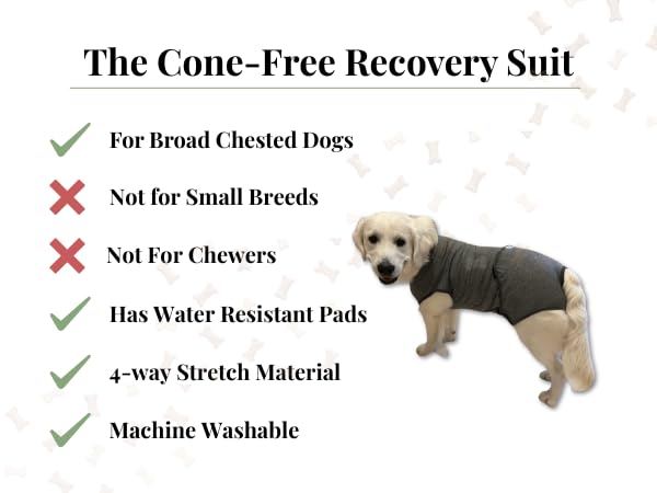iLVYA Dog Recovery Suit washable-pads shows reusable pads keeping areas dry and protected