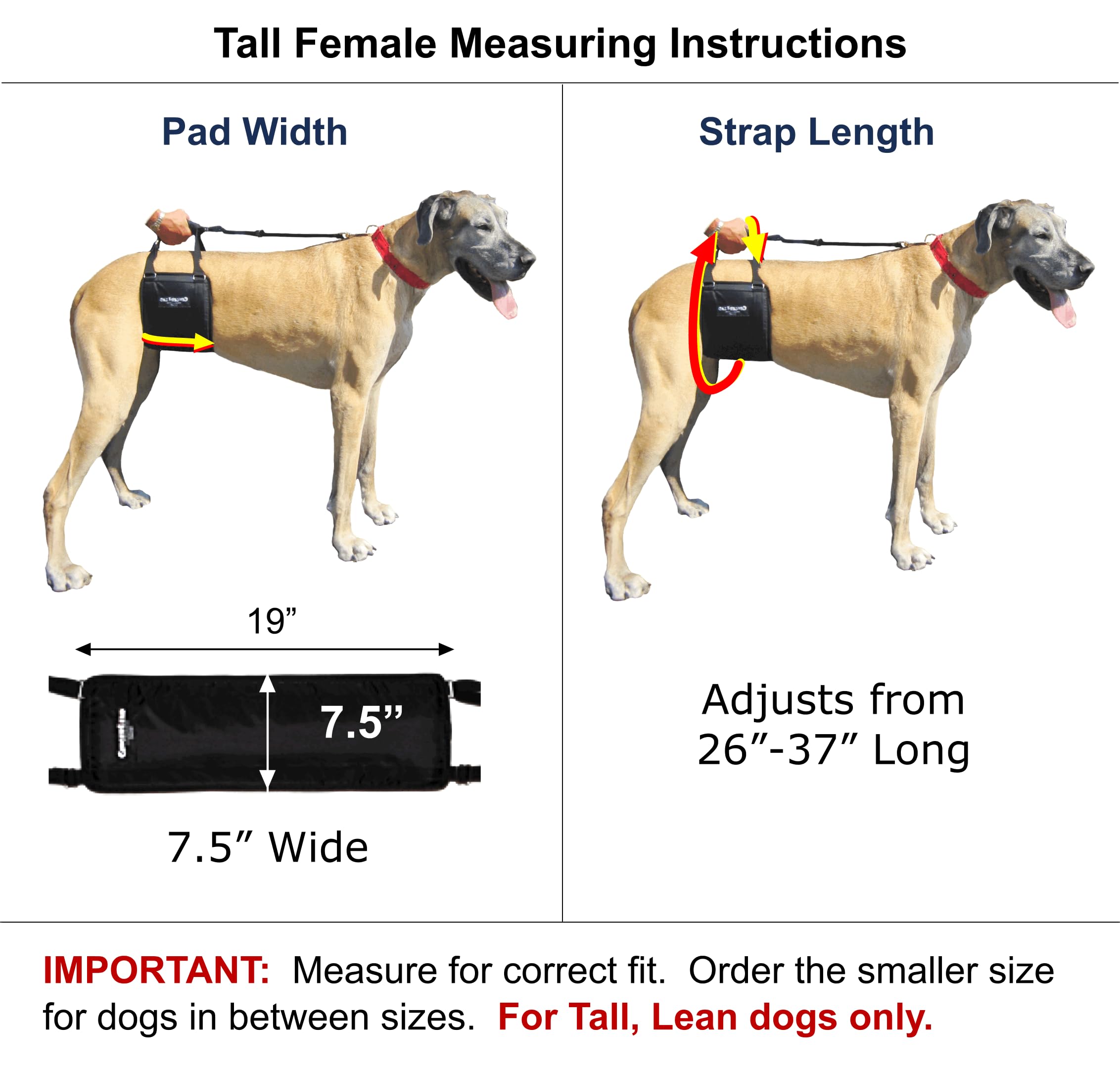GINGERLEAD Dog Sling Hip Support Harness – Tall Fit for Greyhounds & Great Danes | Made in USA