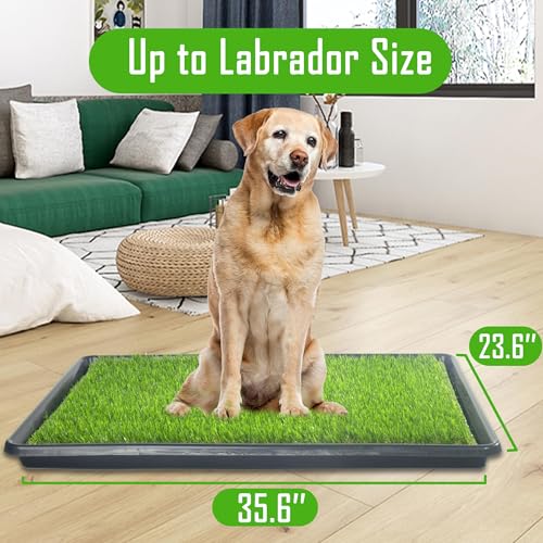 SyFatWeen Dog Loo washable pee pad closeup, absorbent and reusable solution for mess management