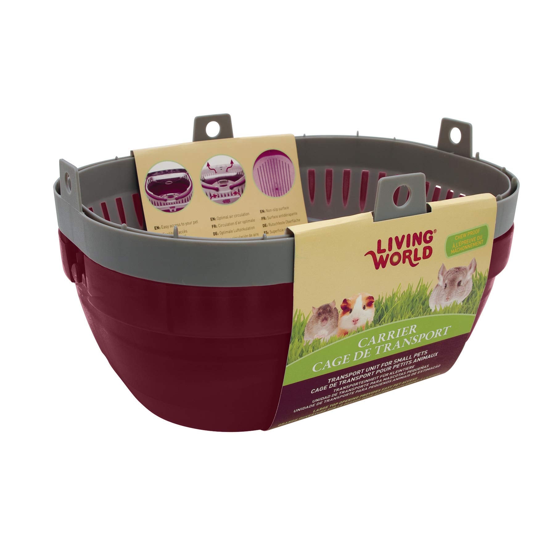 Living World Pet Carrier for Small Pets – Large, Durable & Easy Transport