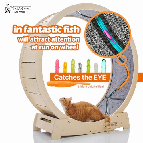 Star Cat Wheel, Cat Treadmill, Exercise Wheel for Running, Spinning, Scratching, and Climbing for Indoor Cats, Premium Birch Wood, Eco-Friendly, Moving Fish, Wide Running Track, 41.7 inch L Size