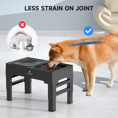 ELS PET stainless steel bowls ensure safe, durable food and water with easy cleaning