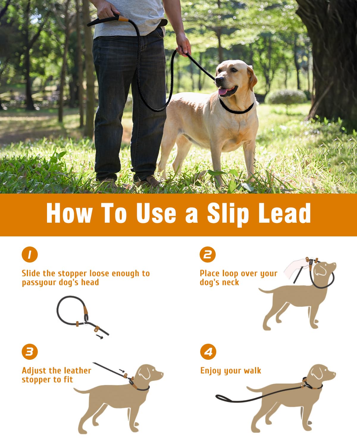 Lynxking Slip Lead Dog Leash – 6 ft x 1/2