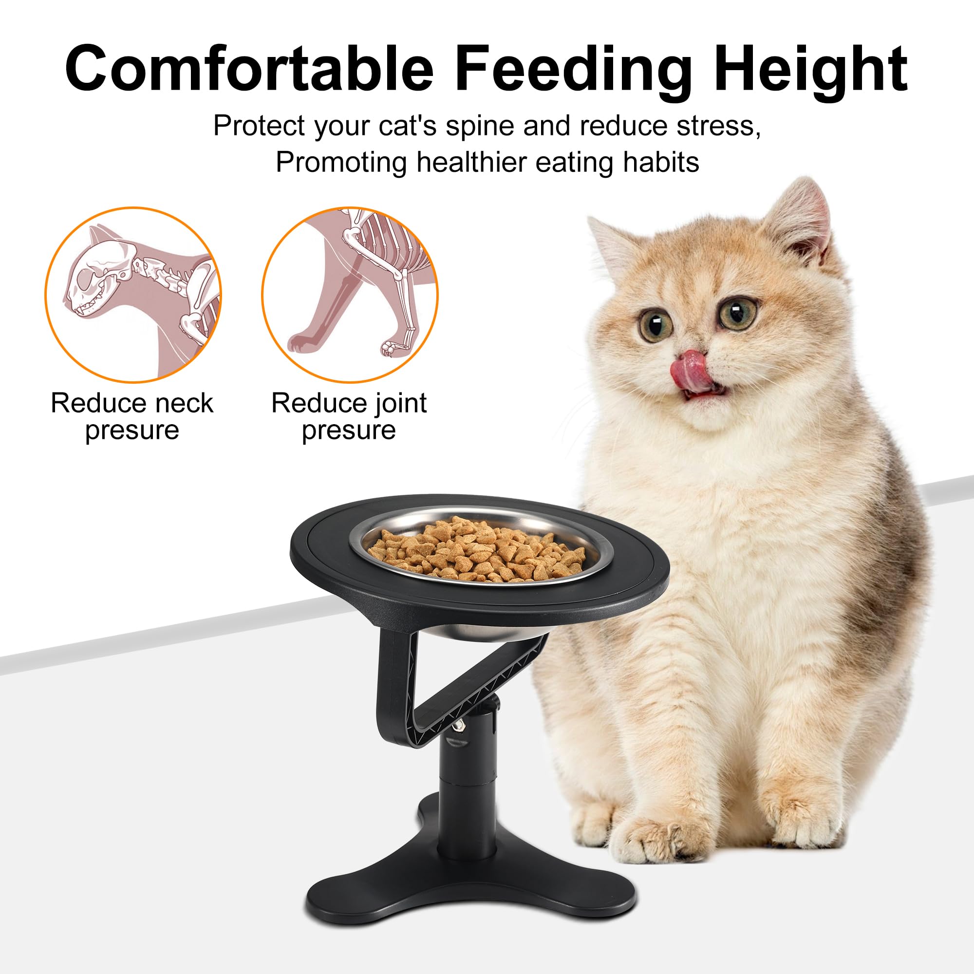 Tolopu Raised Cat Bowls – Height-Adjustable Stand, 15° Tilt, Non-Slip Stainless Steel (2-Pack)