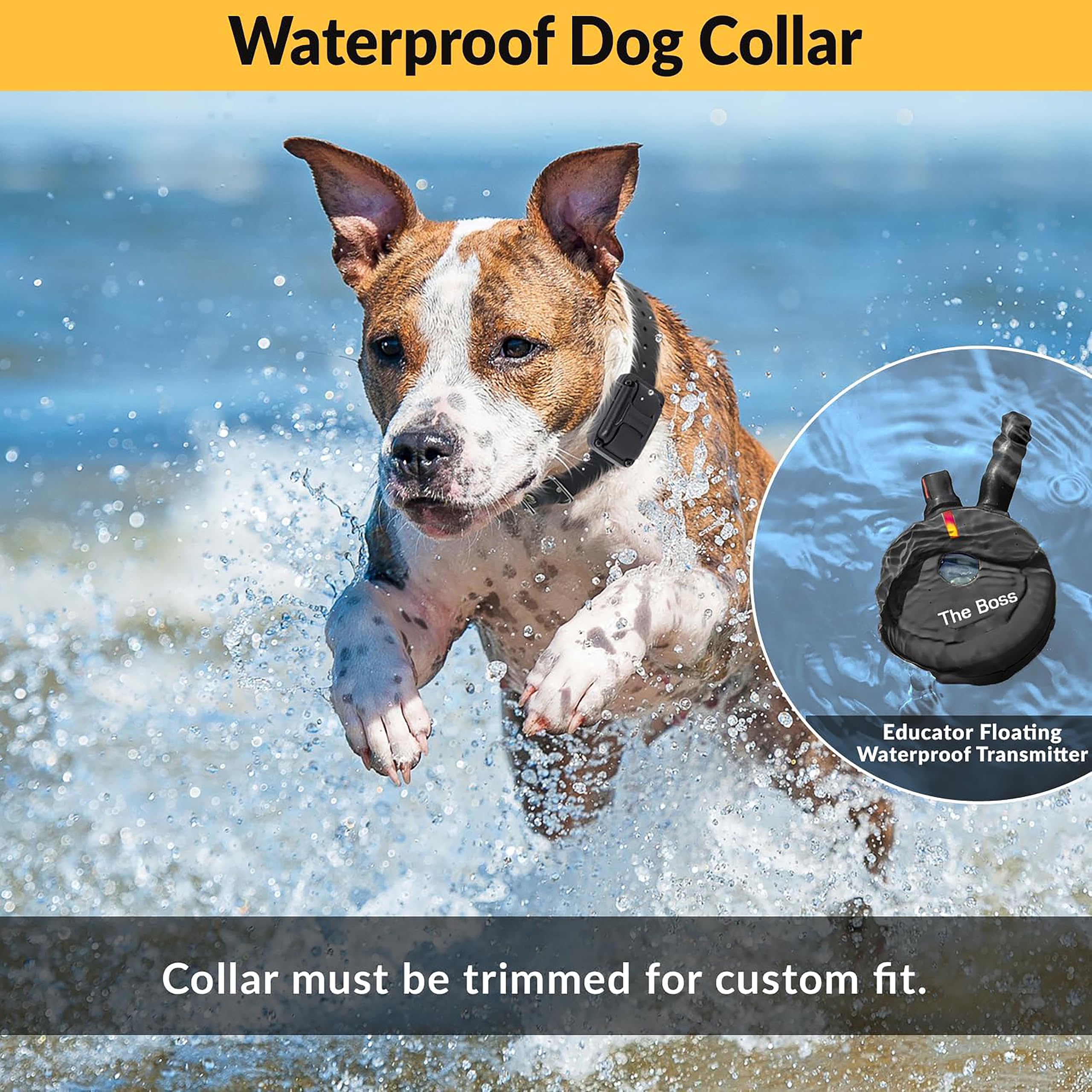 Educator E-Collar Humane Dog Training Collar with Remote, Features 100 Levels of Safe Stimulation, Tapping Sensation, Night Light, Waterproof, Rechargeable, 1 Mile 1 Dog, Black