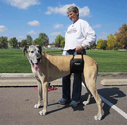 GINGERLEAD Dog Sling Hip Support Harness – Tall Fit for Greyhounds & Great Danes | Made in USA