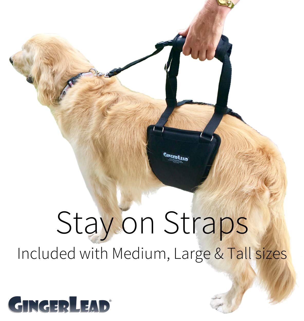 GINGERLEAD Dog Sling Hip Support Harness – Tall Fit for Greyhounds & Great Danes | Made in USA