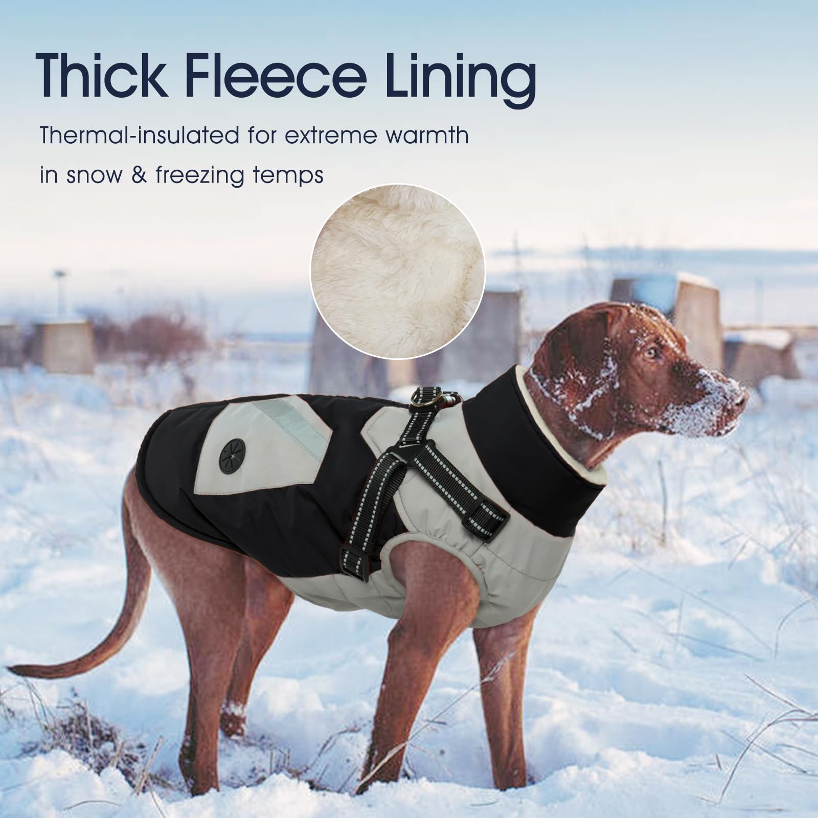IECOii Warm Small Dog Coat Harness with D Ring - Black, Small, Zip Dog Jacket Winter Reflective, Fleece Lined Snowsuit, Pet Clothes for Yorkshire Terrier, Bichon, Shih Tzu