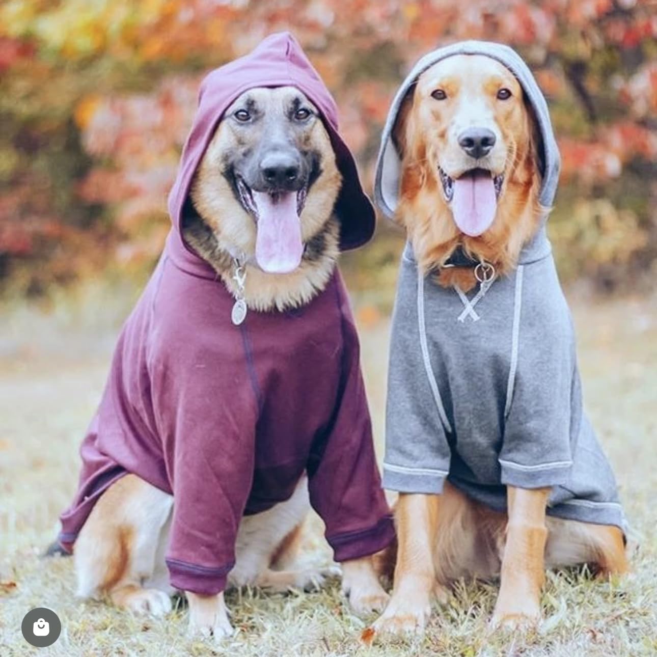 Blueberry Pet Essentials Dog Hoodie – 10 inch, Cotton‑Blend Sweatshirt with Hood, Charcoal Grey, Machine‑Washable Small‑Dog Jersey