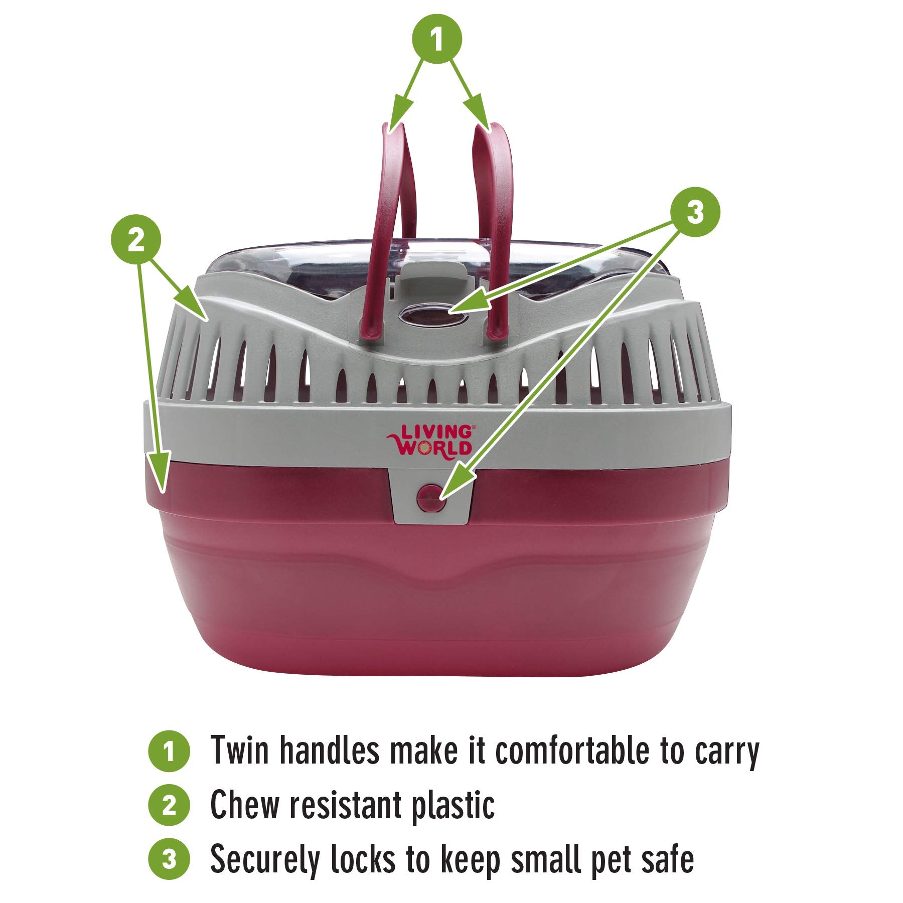 Living World Pet Carrier for Small Pets – Large, Durable & Easy Transport