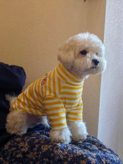 IMDOUBLEDOU modelo con perro usando la sudadera rayada, ideal para uso diario.