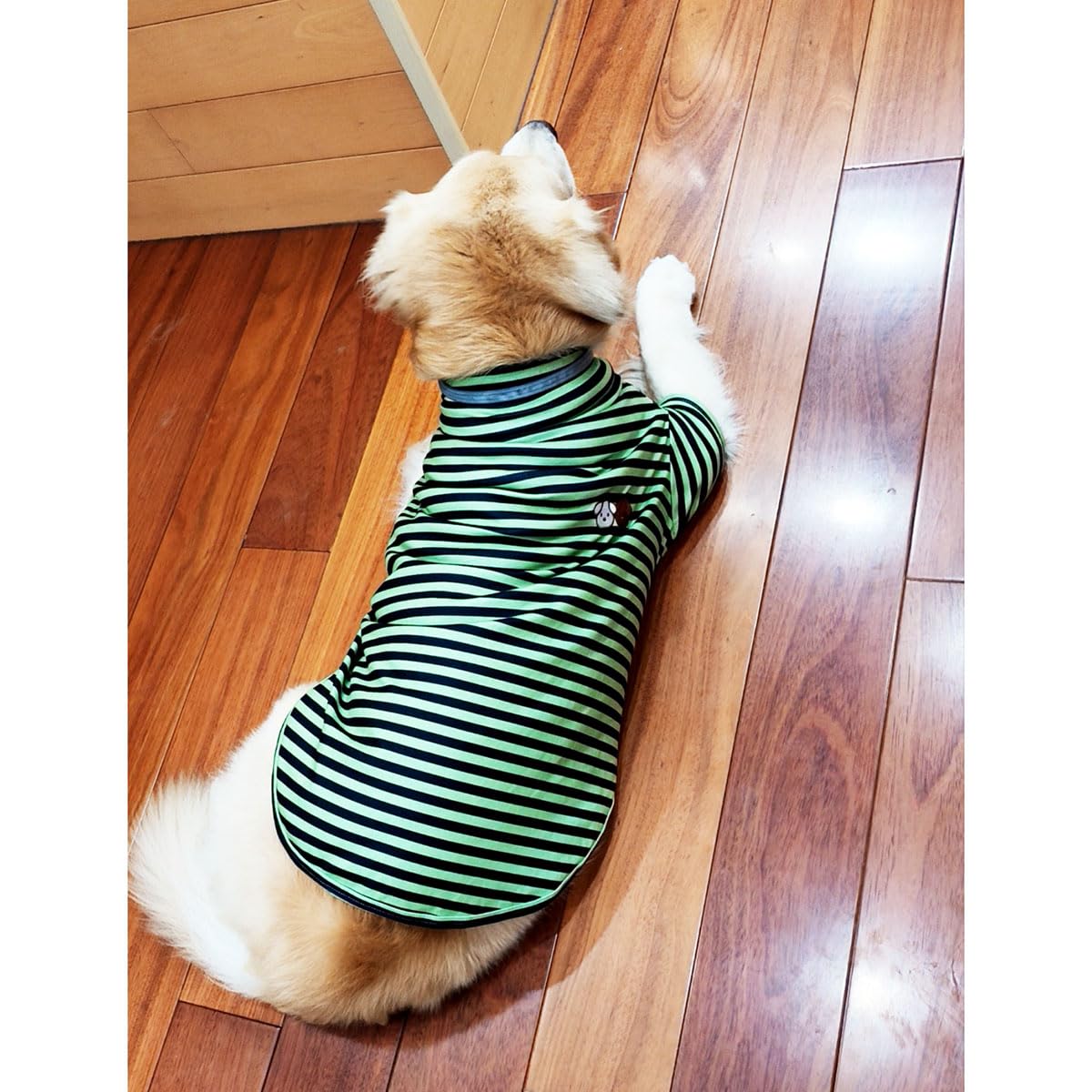IMDOUBLEDOU turtleneck dog shirt 5XL label detail demonstrates size range for large breeds