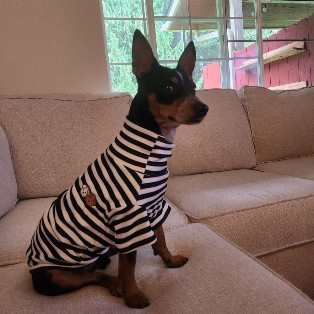 IMDOUBLEDOU turtleneck dog shirt with embroidery adds charming detail.