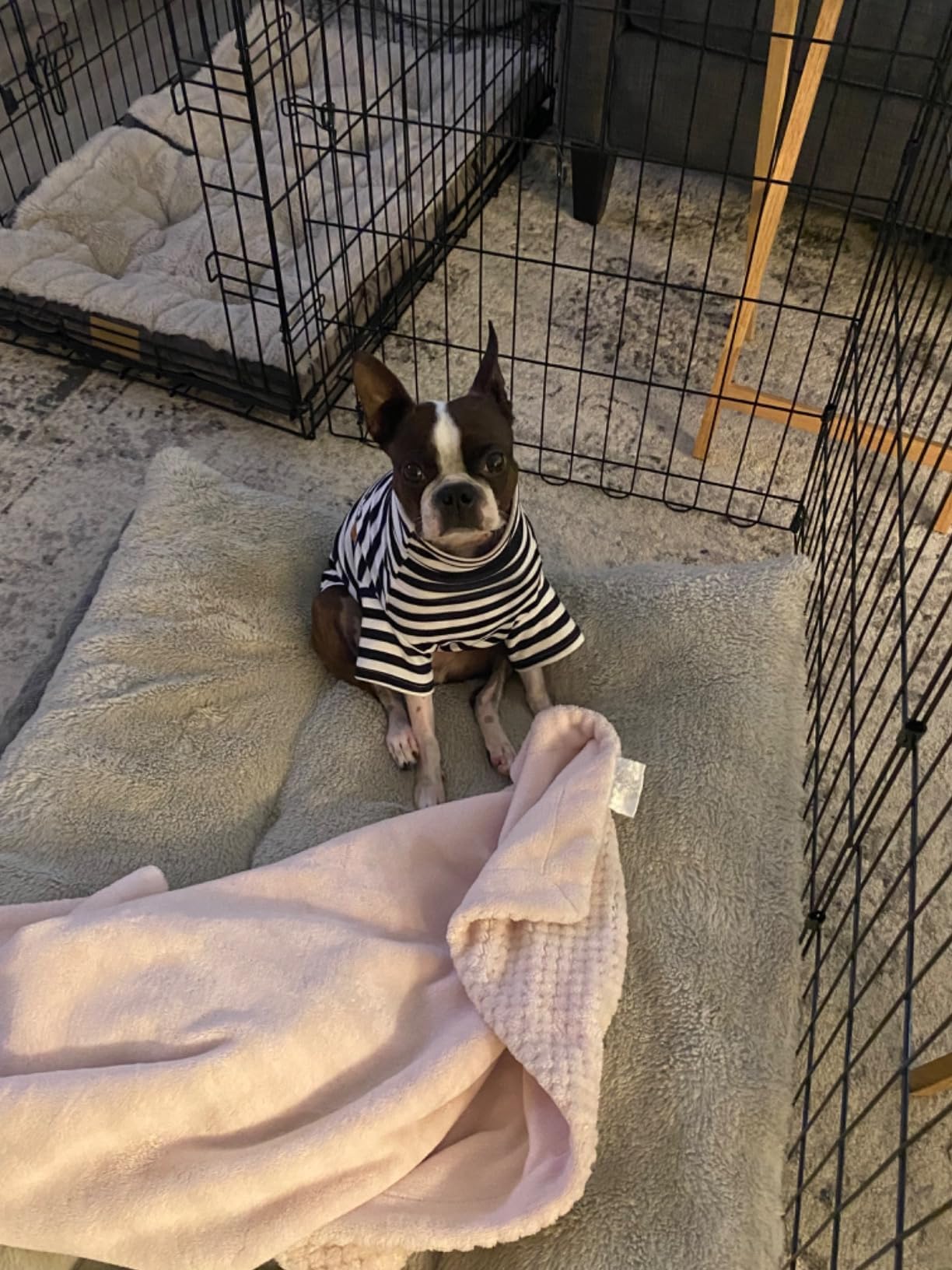 IMDOUBLEDOU turtleneck dog shirt close-up fabric texture emphasizes soft, breathable knit.