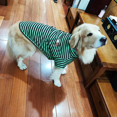 IMDOUBLEDOU turtleneck dog shirt green striped on-dog close-up emphasizes soft fabric