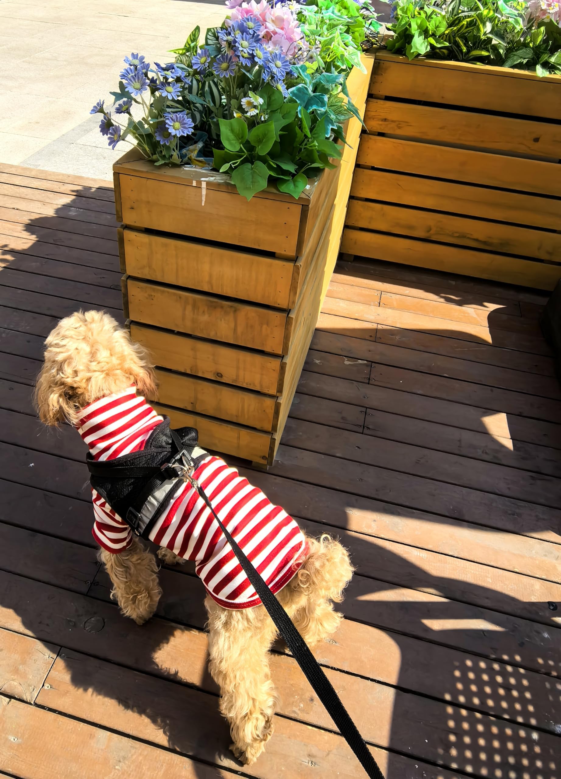 IMDOUBLEDOU model wearing red striped sweater demonstrates everyday wearability