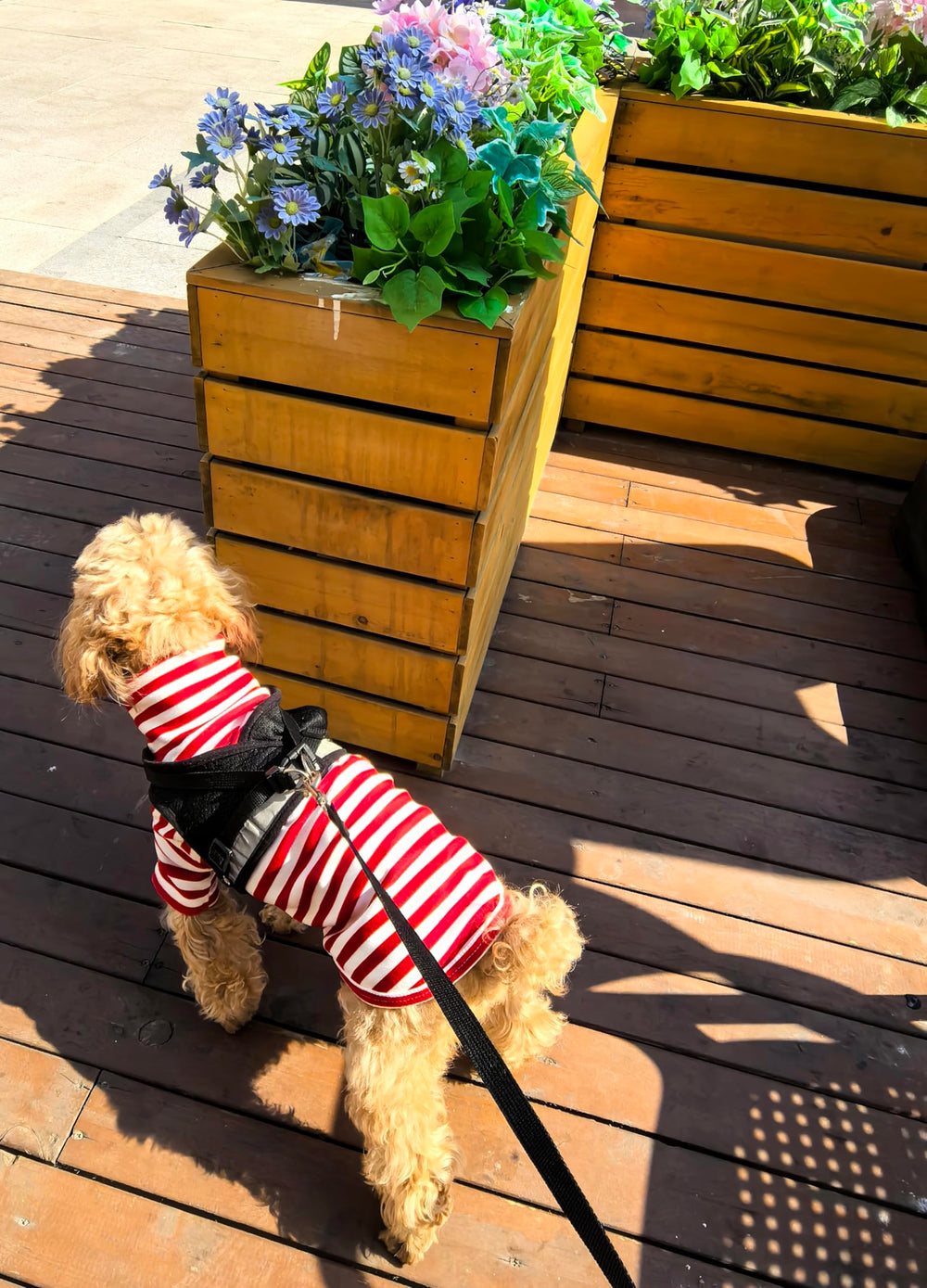 IMDOUBLEDOU model wearing red striped sweater demonstrates everyday wearability