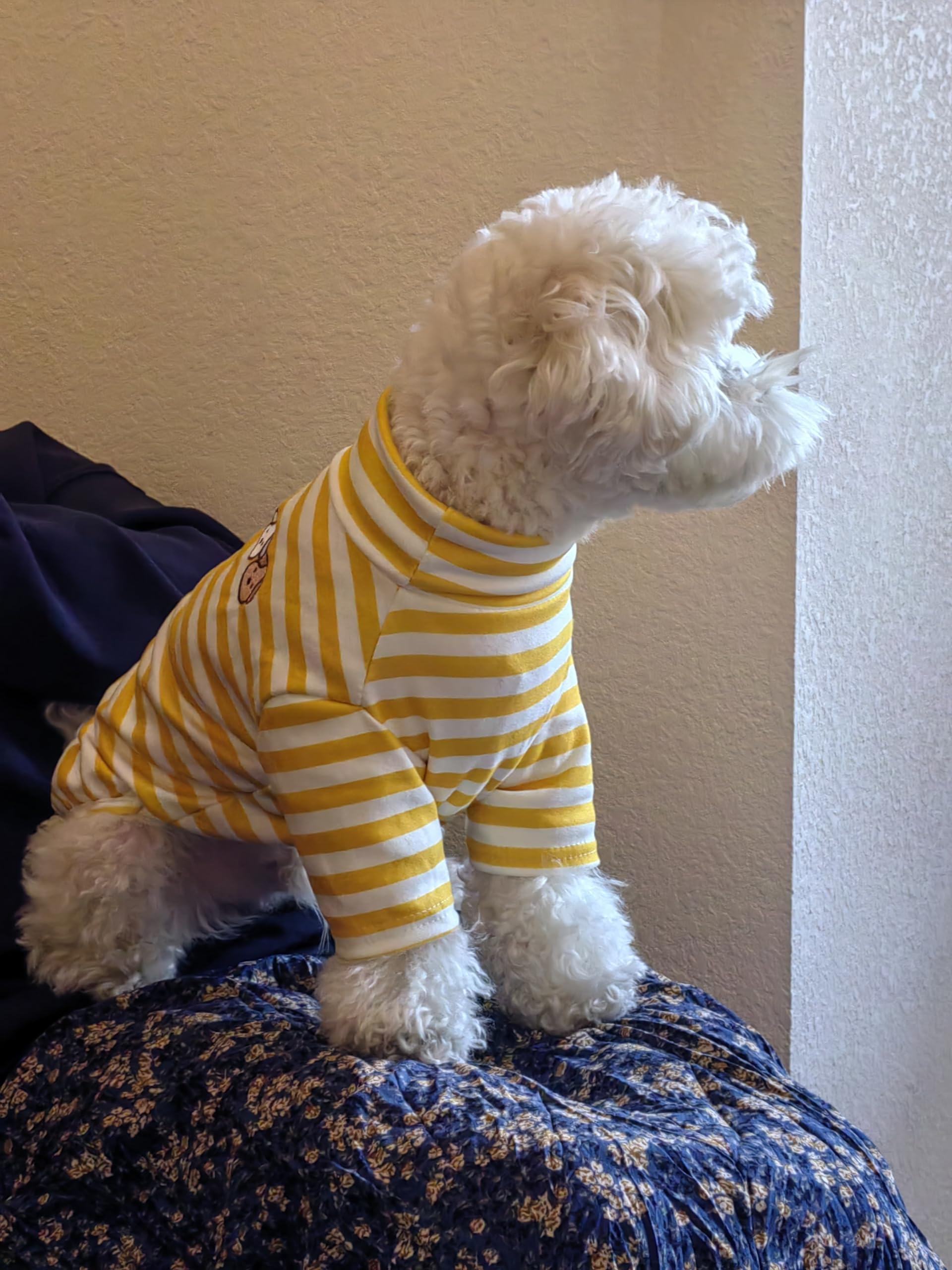IMDOUBLEDOU turtleneck dog shirt pullover design easy to put on and off