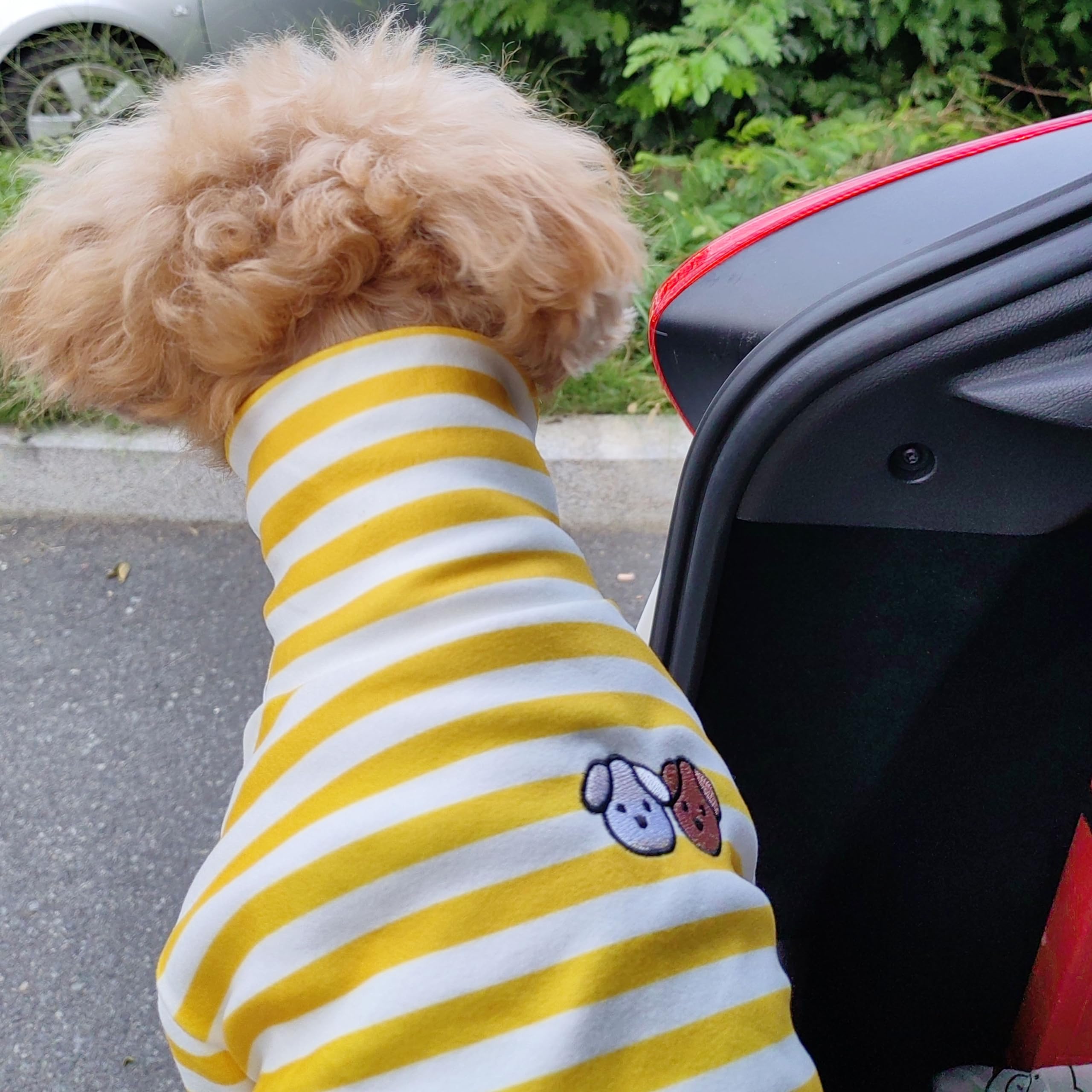 IMDOUBLEDOU turtleneck dog shirt size chart helps you find the perfect fit