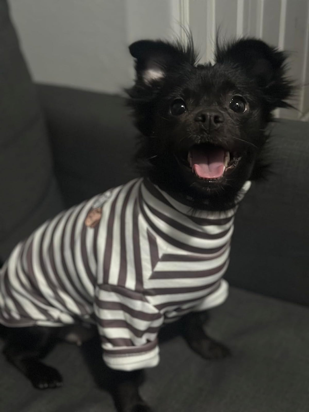 IMDOUBLEDOU turtleneck dog shirt soft lining closeup for four-season comfort.