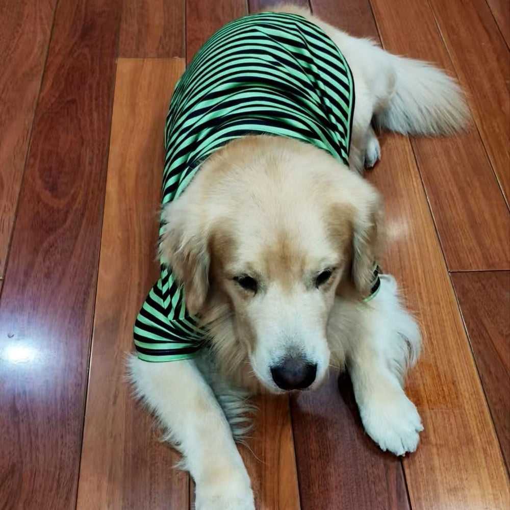 IMDOUBLEDOU turtleneck dog shirt soft texture closeup signals comfortable wear