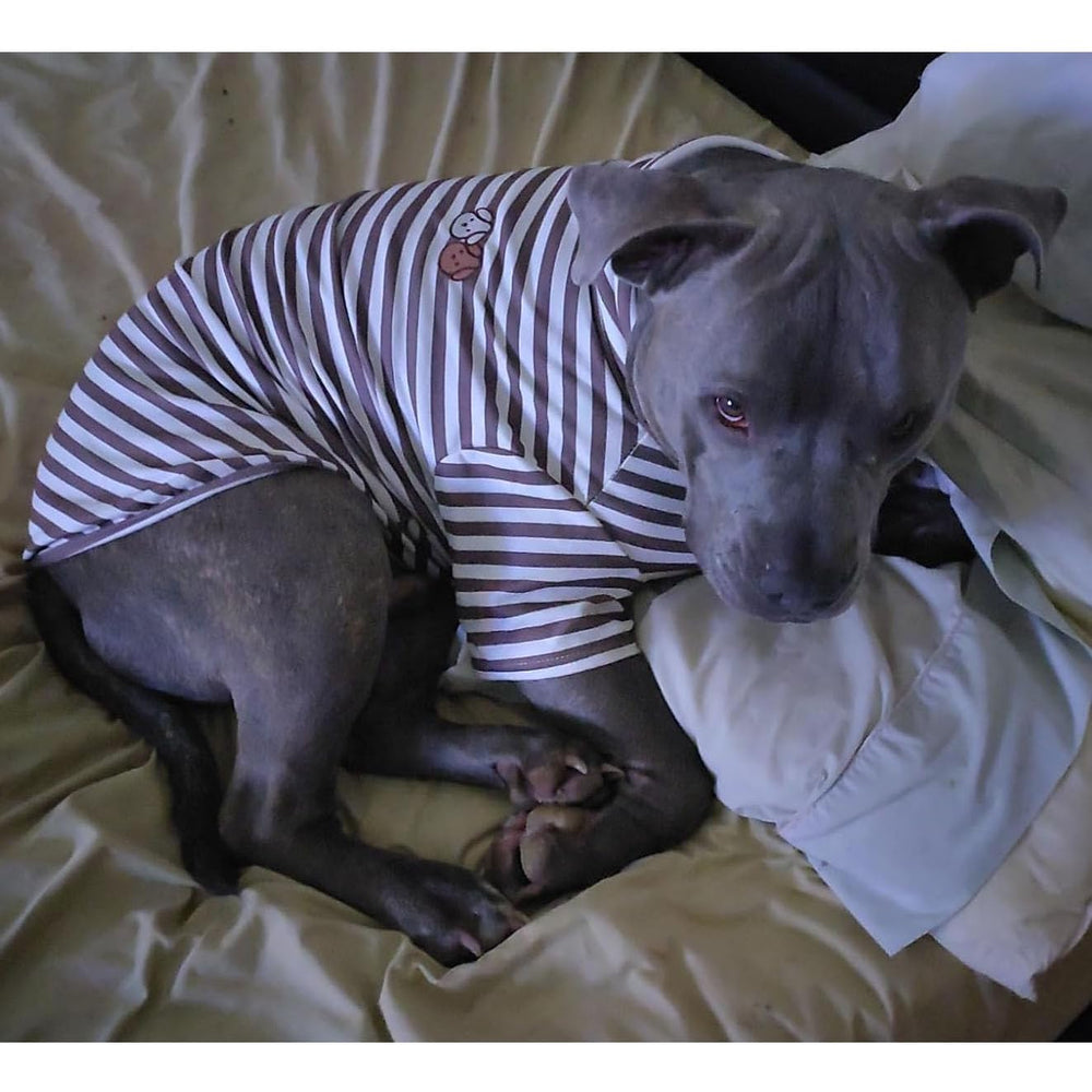 IMDOUBLEDOU turtleneck dog shirt warm cozy wear in cold weather scenes