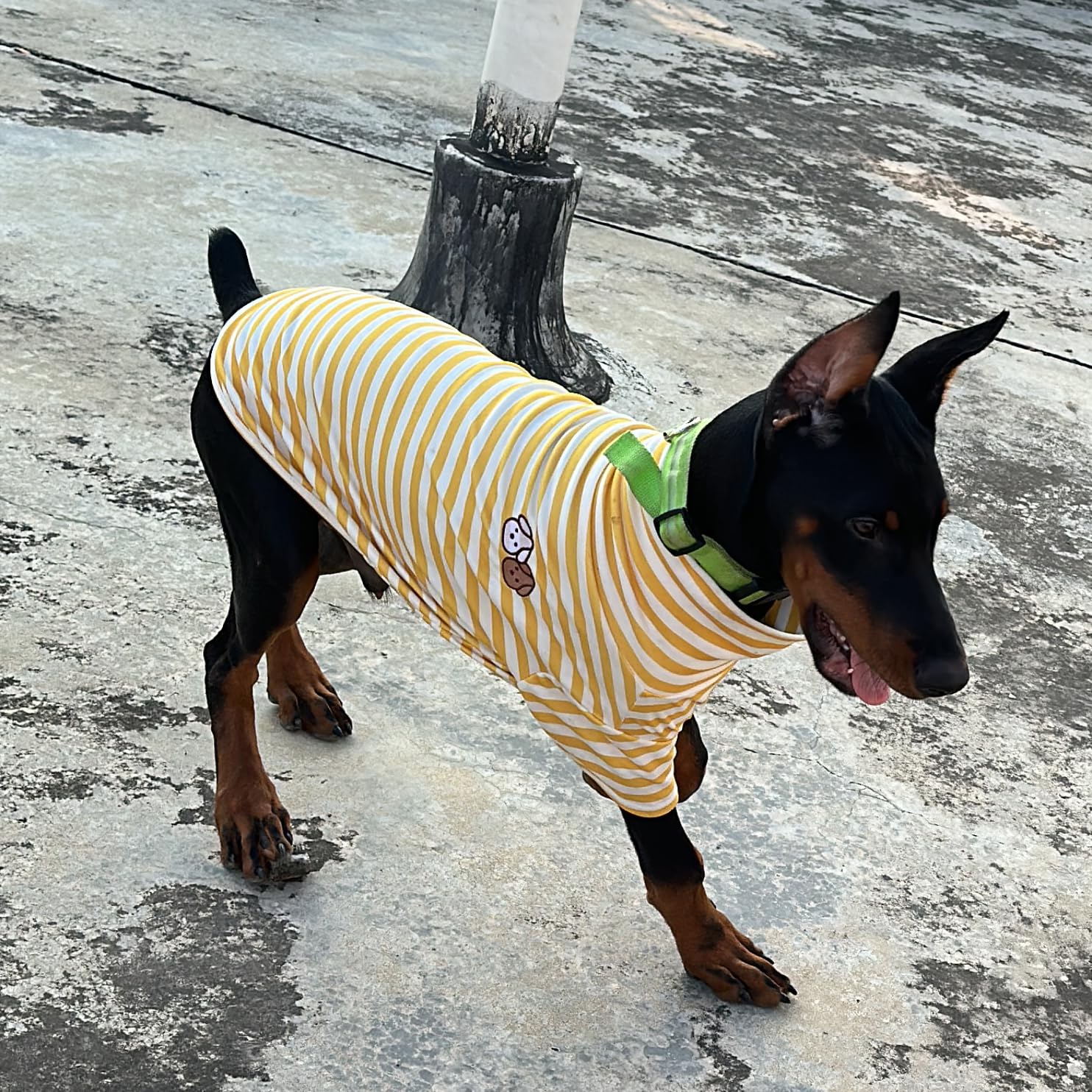 imdoubledou pullover design without velcro for easy dressing