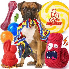 IMMADBUNY bunny-treat-toy for large dogs supports interactive play and long chewing sessions.