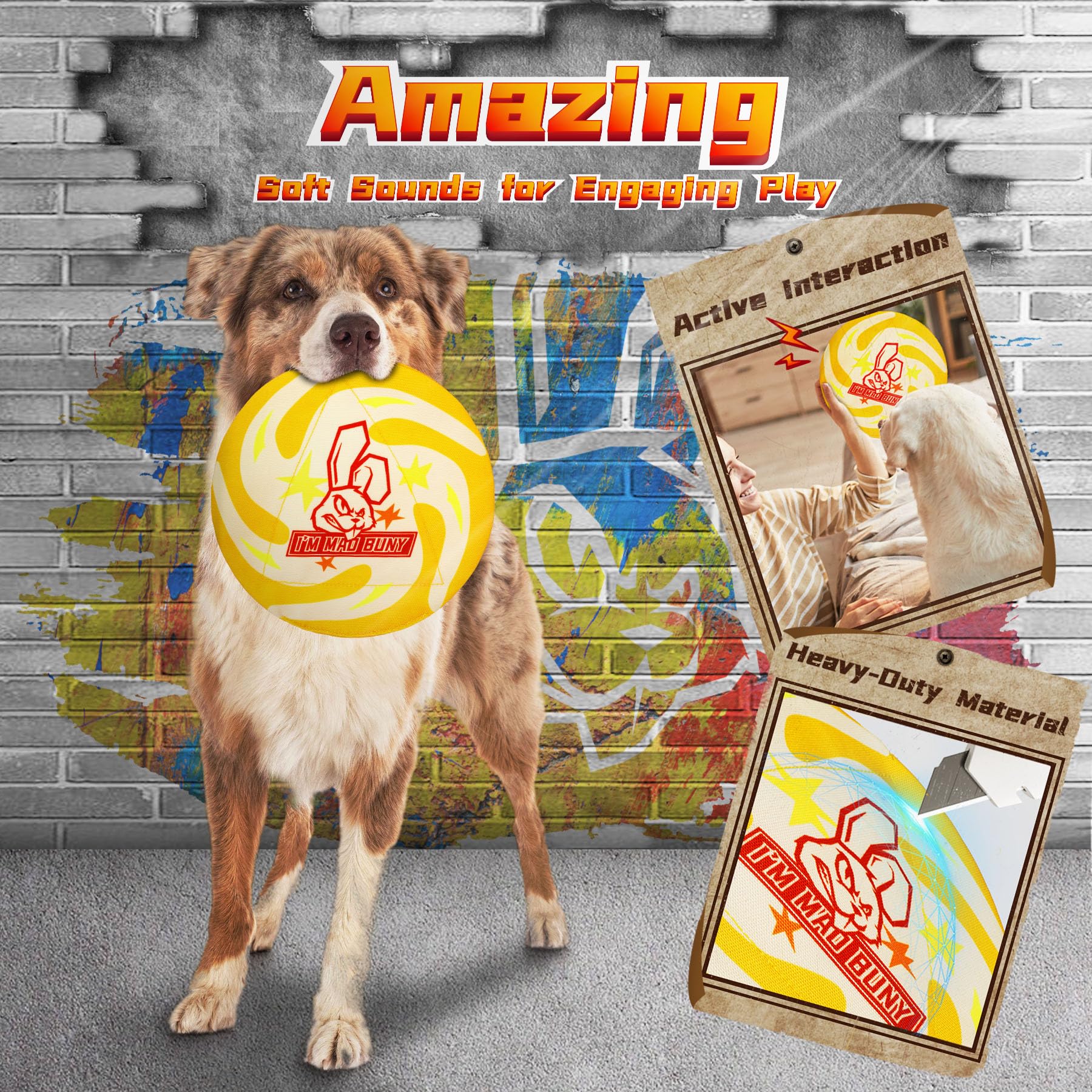 IMMADBUNY flying-disc promotes vigorous outdoor fetch and energetic play.
