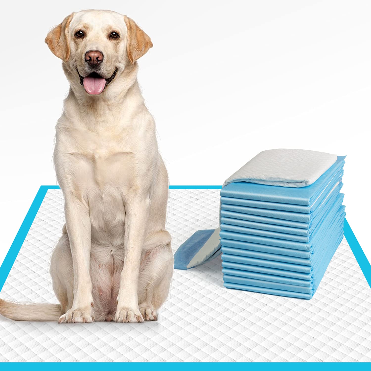 IMMCUTE XL dog pee pad packaging shows a 40-count pack for multi-dog homes.