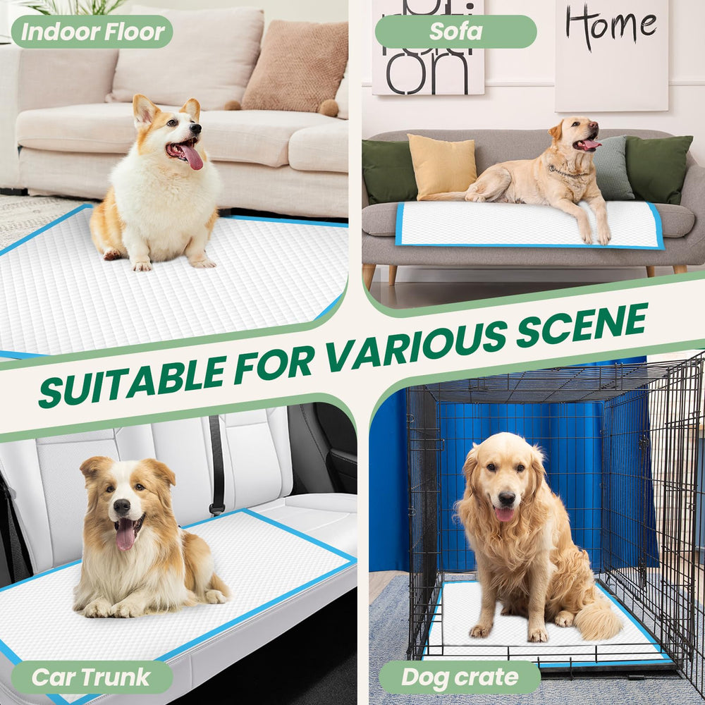 IMMCUTE quick-dry technology converts urine to gel for easier cleanup.